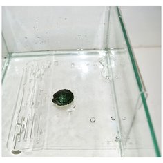 Плотик для черепашек Данко Пл-6, на стенку аквариума, большой, 12х19х21,5 см