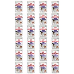 Корм для кошек консервы Royal Canin Стерилайзди в соусе 85 г; 24 шт.