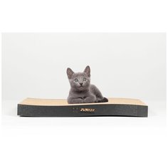 Когтеточка для котят Carton Cat "Junior Curve black", цвет: черный , 40 х 20 х 4 см