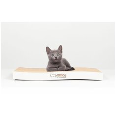 Когтеточка для котят Carton Cat "Junior Curve gray ", цвет: серый , 40 х 20 х 4 см