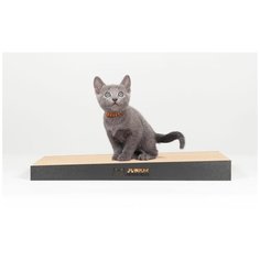 Когтеточка для котят Carton Cat "Junior Slope black", цвет: черный, 40 х 20 х 4 см