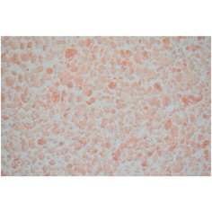 Жидкие обои SILK PLASTER Рельеф G-328