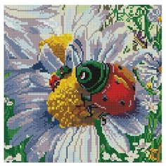 Алмазная мозаика Белоснежка 086- ST- S Летняя жизнь