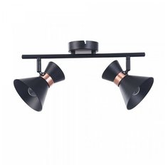 Спот FREYA Izzy FR4273-CW-02-B, кол-во ламп: 2 шт., цвет арматуры: черный, цвет плафона: черный