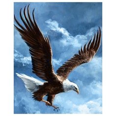 Алмазная мозаика Гранни «Покоритель неба» (полная выкладка, 48х38 см, квадратные стразы)