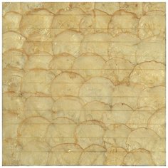 SMS-04 Мозаика для стен Natural Shell бежевый прямоугольник