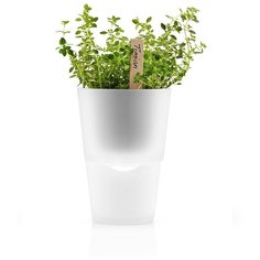 Горшок для растений с функцией самополива ?11 см матовое стекло Eva Solo