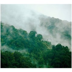 Фотообои Лес и горы в тумане / Красивые уютные обои на стену в интерьер комнаты/ 3Д расширяющие пространство над кроватью или над столом/ На кухню в спальню детскую зал гостиную прихожую/ размер 300х270см/ Флизелиновые