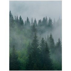 Фотообои Туман над лесом/ Красивые уютные обои на стену в интерьер комнаты/ 3Д расширяющие пространство над кроватью или над столом/ На кухню в спальню детскую зал гостиную прихожую/ размер 200х270см/ Флизелиновые