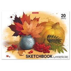 Альбом для эскизов на клею ErichKrause Дары природы, А4, 20 листов, бумага акварельная, 2 штуки в комплекте.