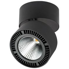 Спот Forte Muro 213857 Lightstar