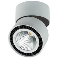 Спот Forte Muro 213859 Lightstar