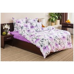 Постельное белье семейное Ночь Нежна Магнолия, поплин, 2 наволочки 70 х 70 см, белый/фиолетовый