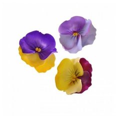 Резинка Брюссель (Размер: безразм Андерсен