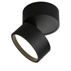 Спот Lenno OML-101319-12 Omnilux