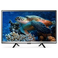 Hyundai Телевизор Hyundai H-LED24FS5001 черный