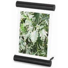 Фоторамка scroll, 14х18 см, черная 1016770-040 Umbra