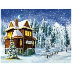 Алмазная мозаика Зимний заснеженный пейзаж 40х50 см, 26 цв, полн. заполнение, с подр. Рыжий кот