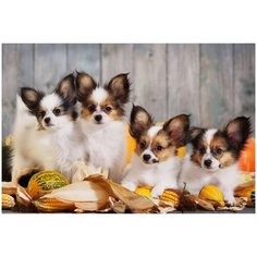 Набор для творчества Рыжий кот Холст с красками по номерам Забавные щенята (19 цветов) 40х50 см