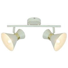 Спот BALTIMORE A1406AP-2WG Arte Lamp