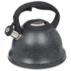 Чайник из нержавеющей стали Daniks MSY- A059 черный со свистком, 3 л
