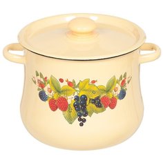 Кастрюля сталь, эмалированное покрытие, 5.5 л, с крышкой, Сибирские товары, С2517.3П