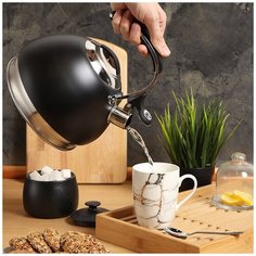 Чайник из нержавеющей стали Daniks MSY-A060B со свистком, 3 л