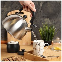 Чайник из нержавеющей стали Daniks MSY-021M со свистком, 3 л