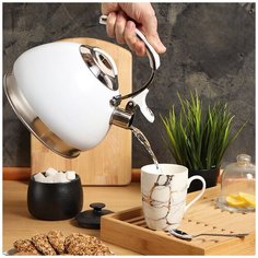 Чайник из нержавеющей стали Daniks MSY- A060W со свистком, 3 л