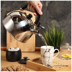 Чайник из нержавеющей стали Daniks M-001 со свистком, 3 л