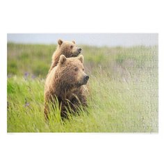 Пазлы CoolPodarok Два медведя в траве 26х38см 252 элемента