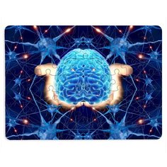 Пазлы CoolPodarok Мозг на фоне нейронные связи 13х18см 63 эл. магнитный