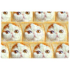 Пазлы CoolPodarok Котейка 20х29см 120 элемента