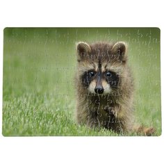 Пазлы CoolPodarok Енот на траве 20х29см 120 элемента