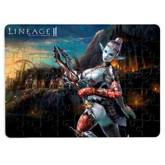 Пазлы CoolPodarok Линейка л2 Lineage2 (Эльфийка с кинжалом) 13х18см 63 эл. магнитный