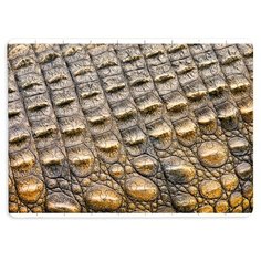 Пазлы CoolPodarok Крокодилья кожа 13х18см 63 эл. магнитный