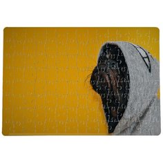 Пазлы CoolPodarok Пёс в свитшоте 20х29см 120 элемента