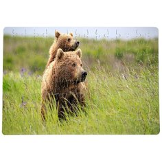 Пазлы CoolPodarok Два медведя в траве 20х29см 120 элемента
