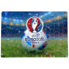 Пазлы CoolPodarok Euro2016 20х29см 120 элемента