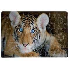 Пазлы CoolPodarok Тигренок голубые глаза 20х29см 120 элемента