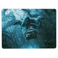 Пазлы CoolPodarok Чеширский кот2 13х18см 63 эл. магнитный