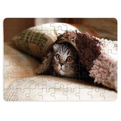 Пазлы CoolPodarok Котёнок под одеялом 13х18см 63 эл. магнитный