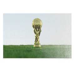 Пазлы CoolPodarok Футбол Футбольный кубок Фифа 26х38см 252 элемента