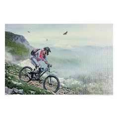 Пазлы CoolPodarok Велоспорт Мужчина на горном велосипеде орлы 26х38см 252 элемента