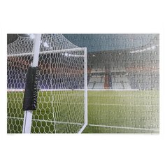 Пазлы CoolPodarok Футбол Футбольные ворота Газон Поле 26х38см 252 элемента