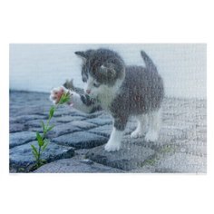 Пазлы CoolPodarok Котёнок и цветок 26х38см 252 элемента