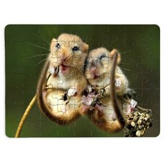 Пазлы CoolPodarok Две мышки 13х18см 63 эл. магнитный