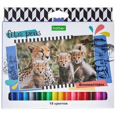 Фломастеры Hatber ECO Сафари 18 цветов