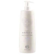 Trinity Care Essentials Silver Reflex Shampoo - Тринити Кейр Эссеншлс Сильвер Рефлекс Шампунь оттеночный серебряный, 1000 мл -