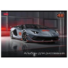 Альбомы для рисования Hatber Альбом для рисования А4 48 скрепка "АвтоЛюкс" пл. 100 гр/м
